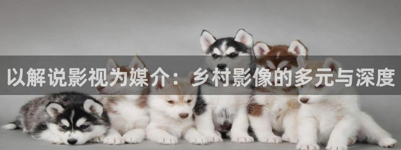 新闻图片