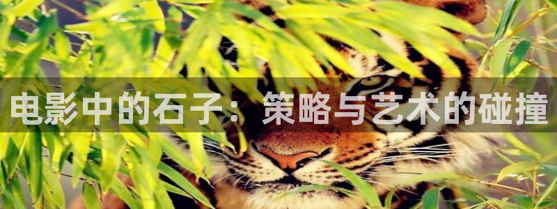 国产麻豆午夜系列片