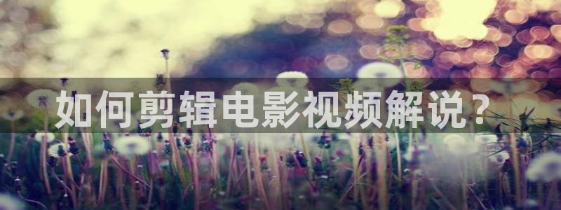 成人午夜大片