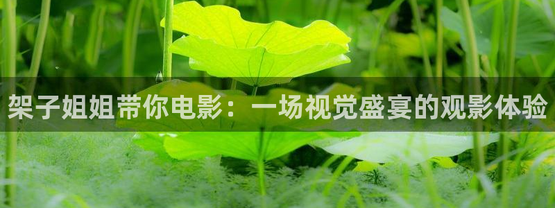 80s理论片午夜电影
