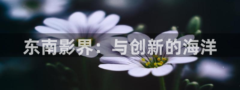 福利电影午夜