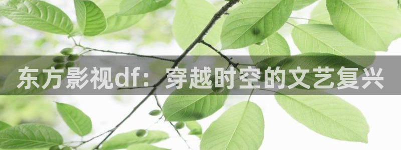 电影午夜诱惑