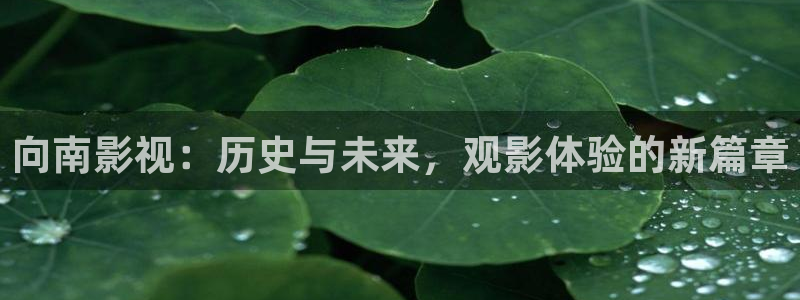 午夜鲁丝片午夜精品