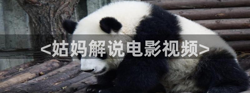 午夜看片爽
