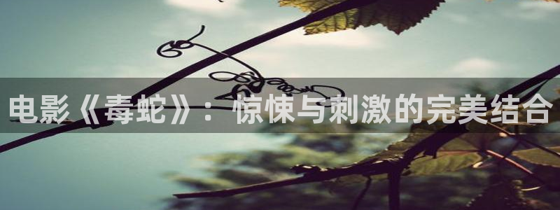 电影午夜惊心