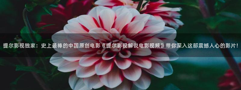 飘花午夜理论片