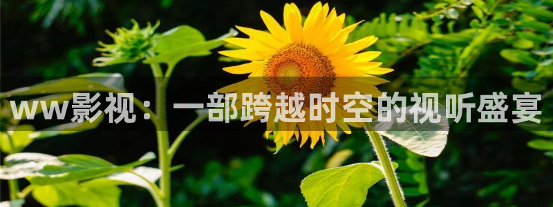 成人午夜影院中文
