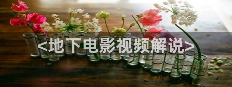 成人私人午夜影院