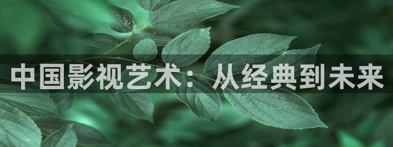 欧美电影午夜在线观看