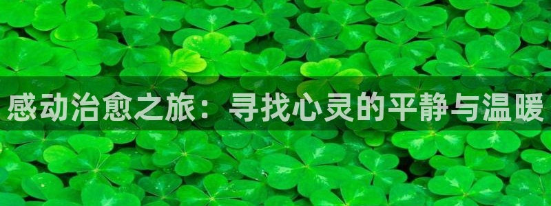 达达兔影院伦理午夜电影