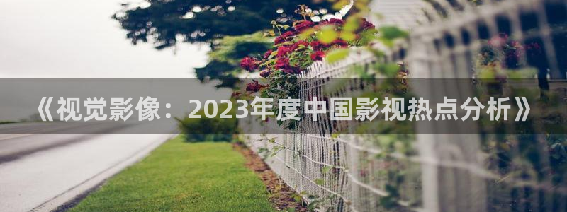 午夜神马电影
