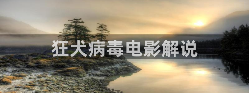 国产午夜激情av
