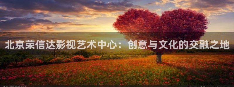 日本午夜理论电影网