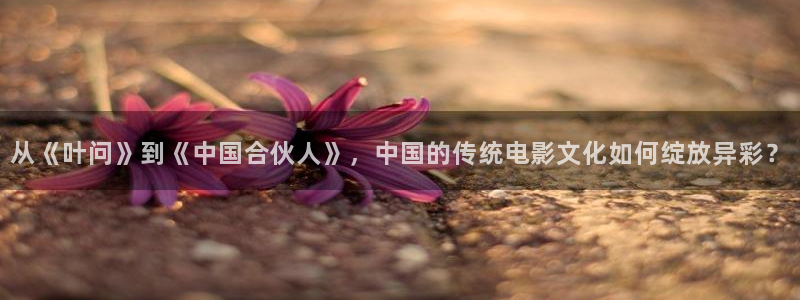 午夜影视免费在线观看